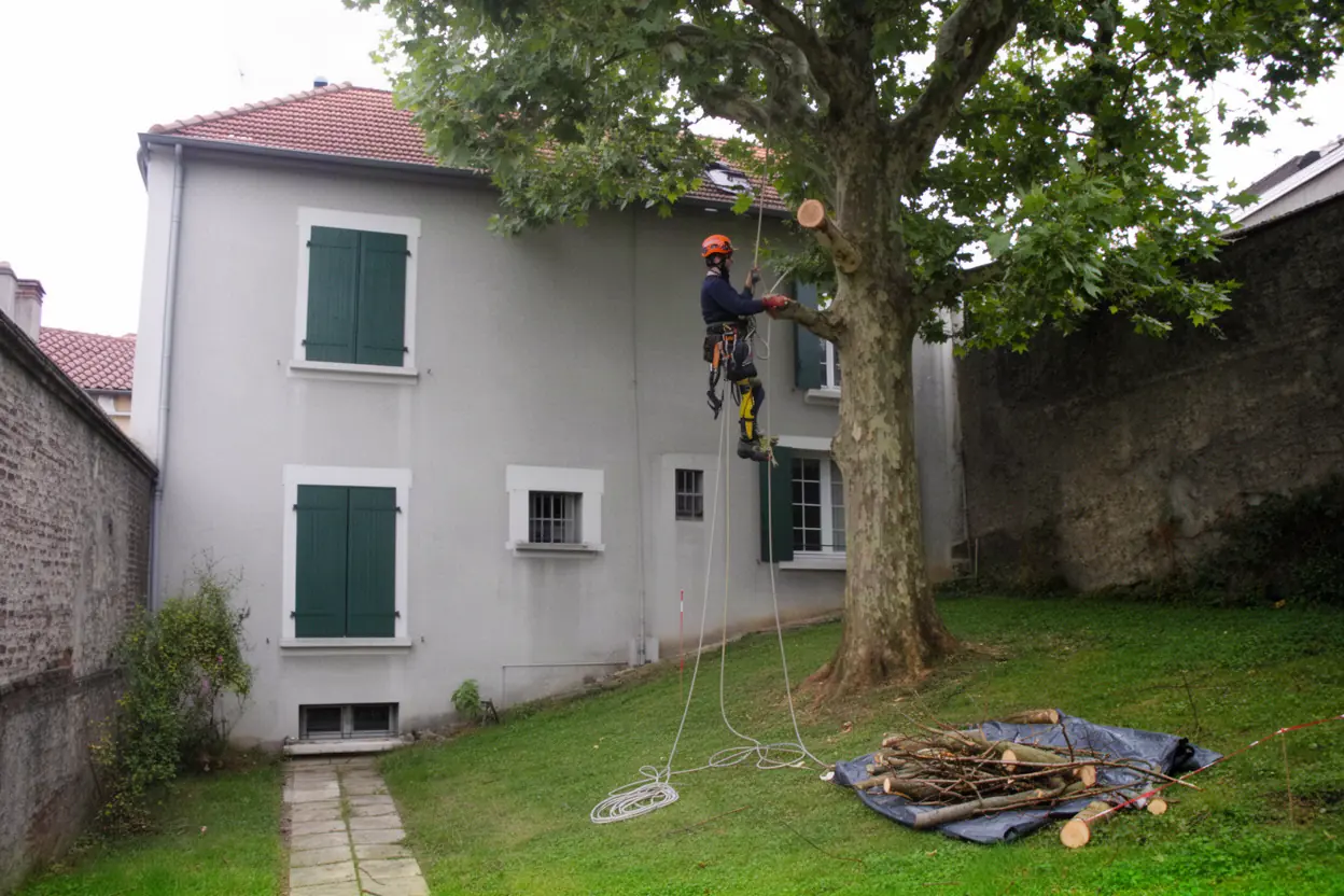 À propos de notre entreprise d'élagage à Saint-Étienne
