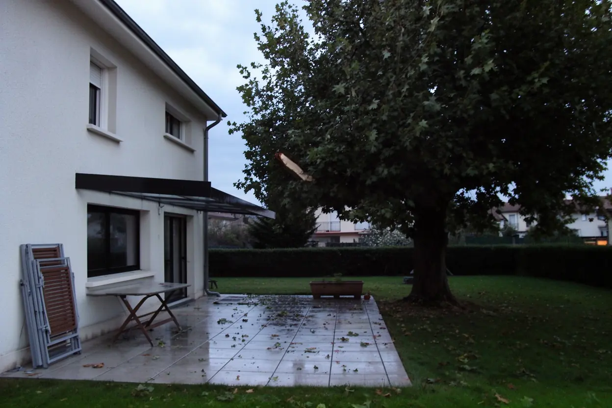 Houppier sécurisé et terrasse dégagée à Roche-la-Molière