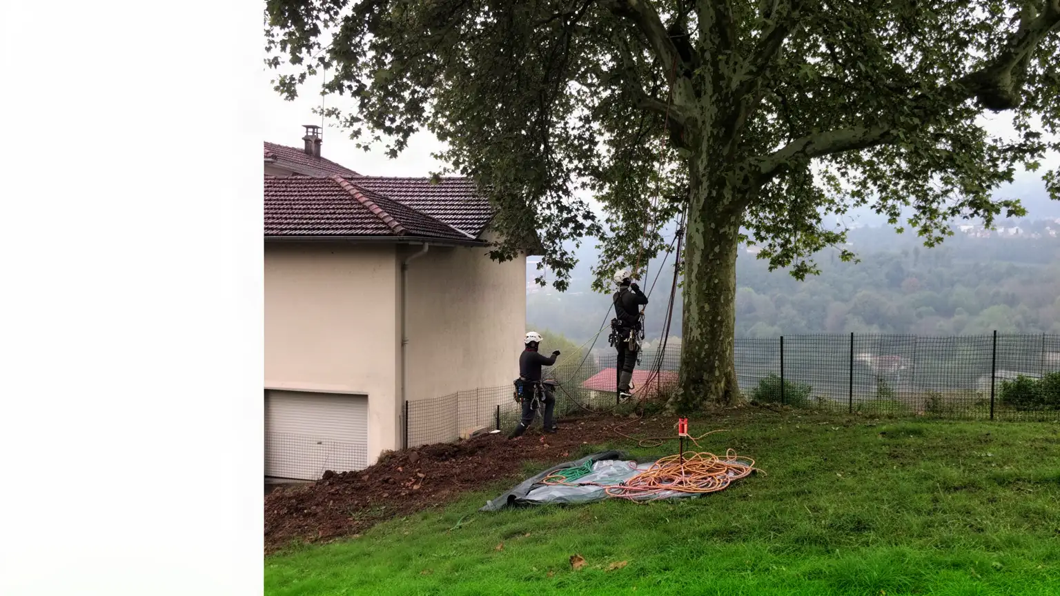 Contactez notre entreprise d'élagage à Saint-Étienne